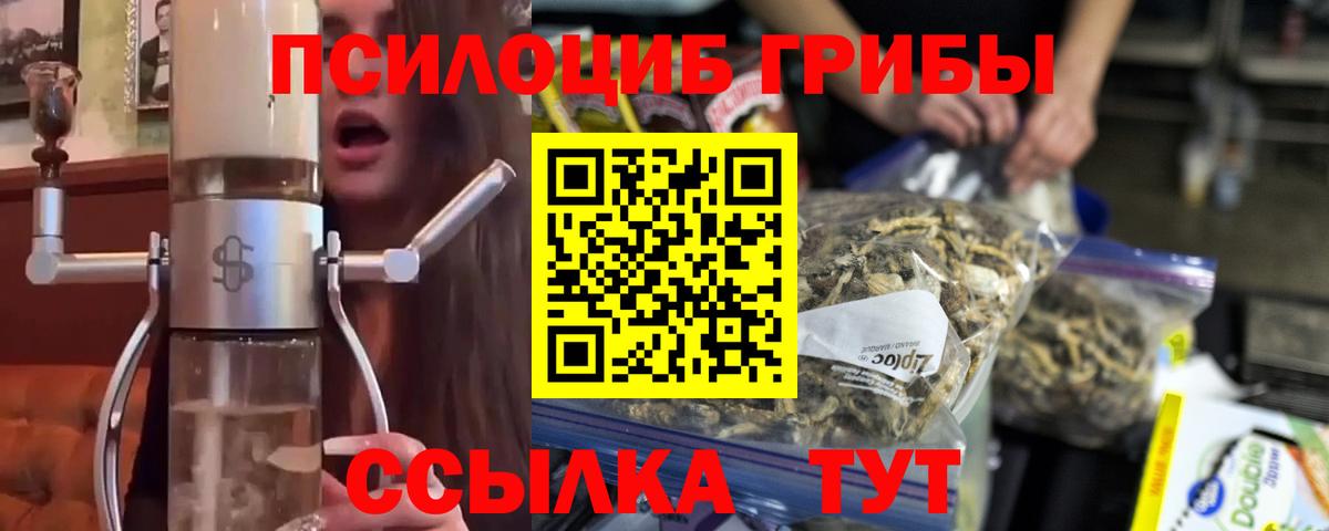 Галлюциногенные грибы GOLDEN TEACHER  Галлюциногенные грибы мухоморы  где купить наркоту  Вход с VPN  Ростов-на-Дону 